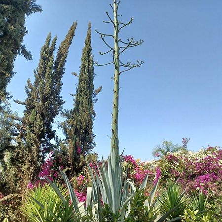 Riad-Villa Agadir-Taroudant Sidi Boumoussa Eksteriør billede