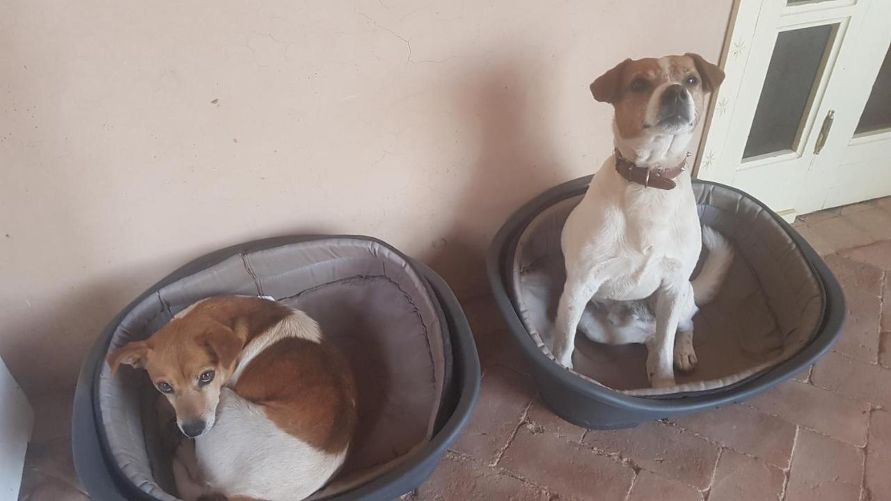Riad-Villa Agadir-Taroudant Sidi Boumoussa Eksteriør billede
