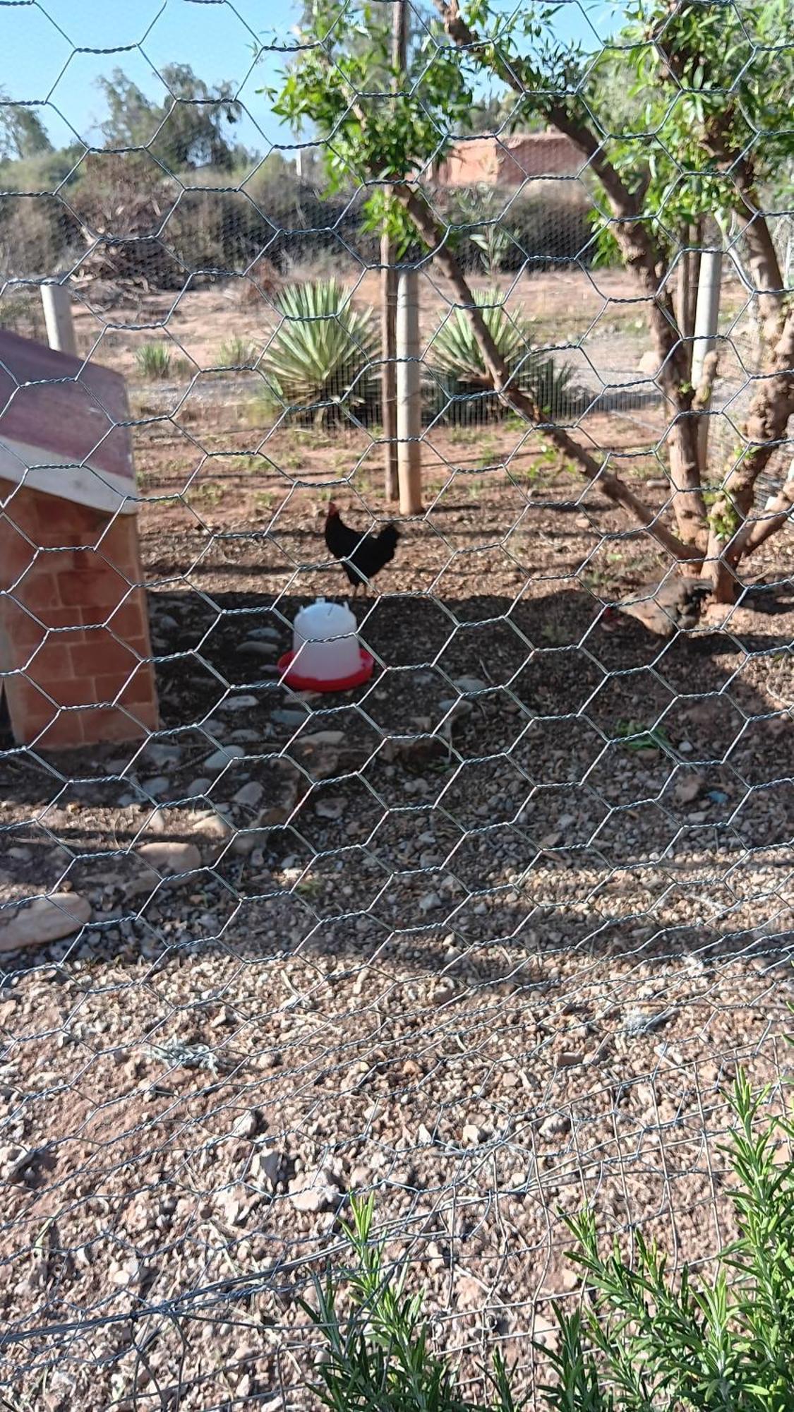 Riad-Villa Agadir-Taroudant Sidi Boumoussa Eksteriør billede