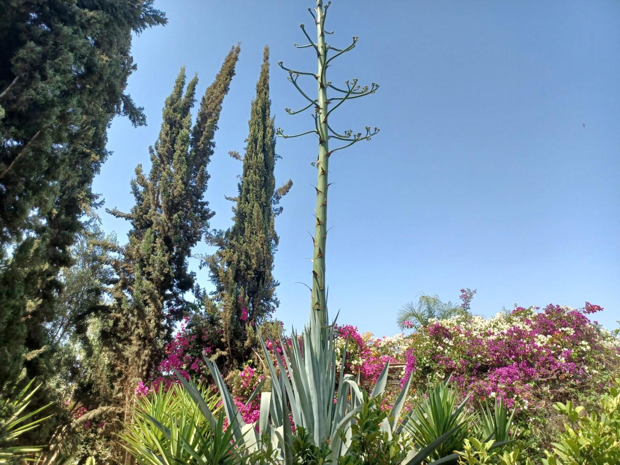 Riad-Villa Agadir-Taroudant Sidi Boumoussa Eksteriør billede