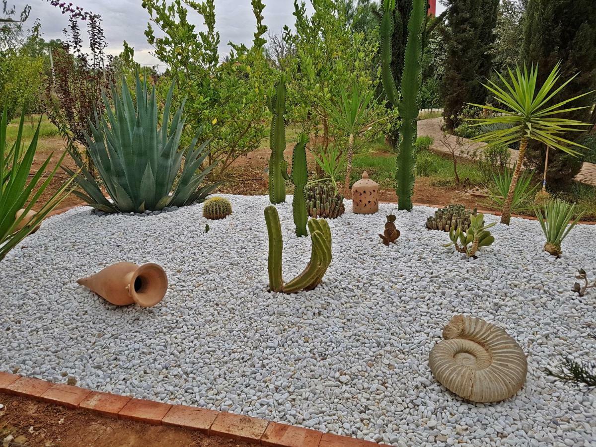 Riad-Villa Agadir-Taroudant Sidi Boumoussa Eksteriør billede